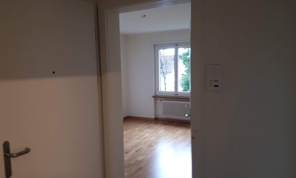 Blick vom Gang ins Wohnzimmer
