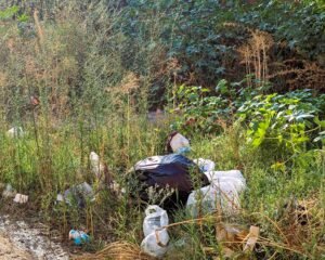 Nein liebe Schweiz, du hast kein "Littering-Problem"
