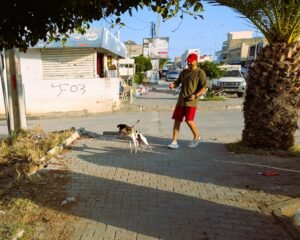 Riadh lässt Luna mal wieder die Katzen anpöbeln.