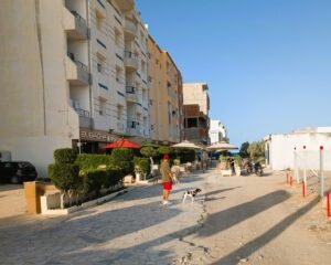 Luna findet den Weg in die Stammkneipe schon im Schlaf.