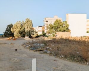 Da ist ein Huhn! Sogar mehr als eines. Chickenrun!