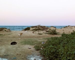 Strand von Tantana - nur ist diese Ecke Fischern und Hunden vorbehalten