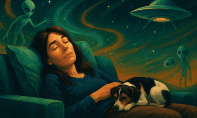 alienation works the art of napping
