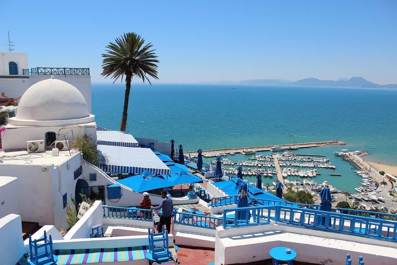 tunisia, city, tourism, beautiful, blue - white, streets, sea, palm trees, historical, vacation, tunisia, nature, tunisia, tunisia, tunisia, tunisia