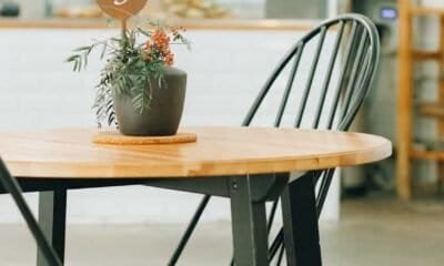 potted plant on brown wooden table with chairs